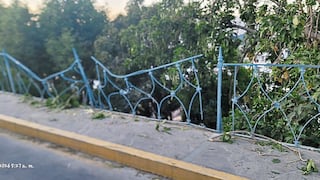 Arequipa: Advierten riesgo en Puente Fierro