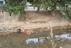 Ica: vierten aguas residuales en cauce La Achirana y pone en riesgo la salud pública