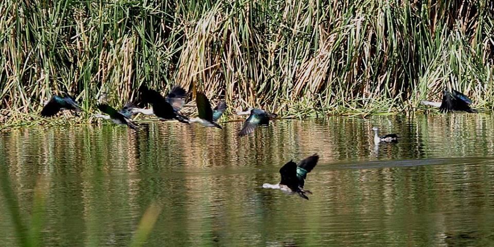 Autoridades realizaron mesa técnica sobre lugar turístico ubicado en Querecotillo