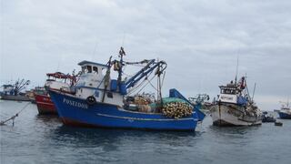 Moquegua: Informalidad impera en la pesca