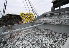 Fenómeno El Niño: Ejecutivo declara en emergencia los susbsectores pesca y acuicultura