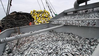 Fenómeno El Niño: Ejecutivo declara en emergencia los susbsectores pesca y acuicultura