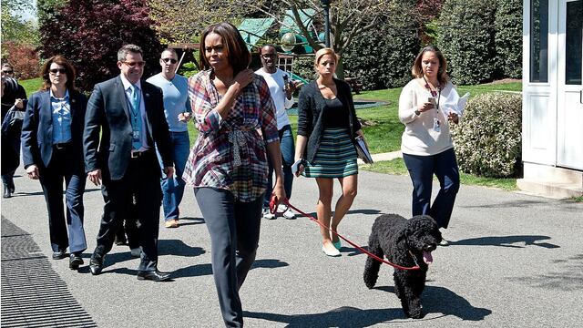 Perro de Barack Obama mordió a joven en la Casa Blanca