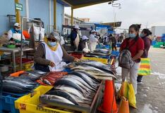 Pisco: reportan abundancia del pescado bonito en playas de San Andrés