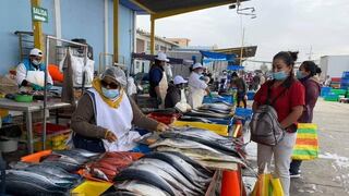Pisco: reportan abundancia del pescado bonito en playas de San Andrés