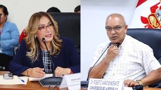 Congresistas Roberto Kamiche y Magaly Ruiz infringieron neutralidad electoral