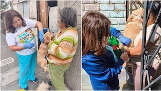 Pisco se moviliza por la salud de sus mascotas: realizan jornada de vacunación antirrábica