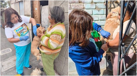 Pisco se moviliza por la salud de sus mascotas: realizan jornada de vacunación antirrábica