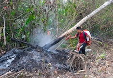 Junín: Cenizas cubren 2500 hectáreas de bosques y cultivos en varias provincias