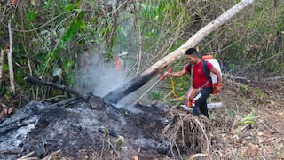 Junín: Cenizas cubren 2500 hectáreas de bosques y cultivos en varias provincias