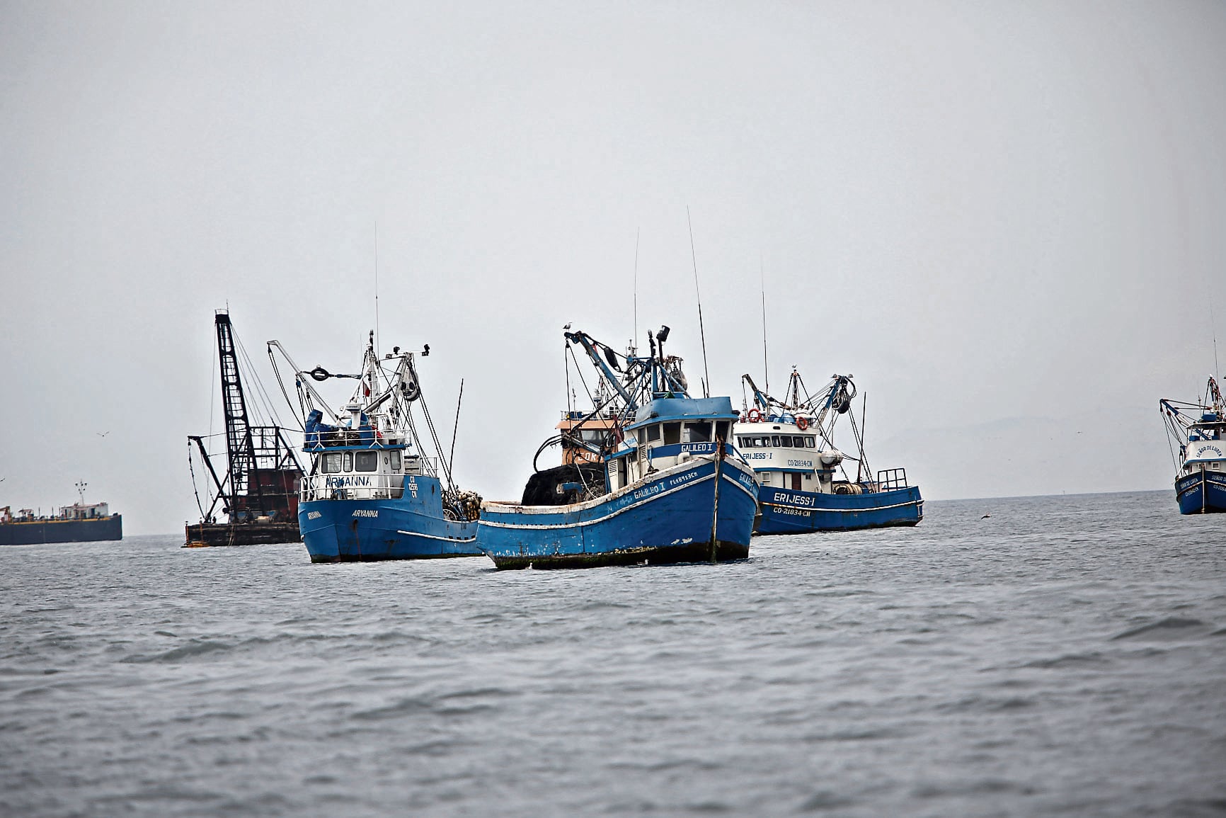 El Instituto del Mar del Perú (IMARPE) hace la evaluación correspondiente para establecer el volumen de anchoveta adulta que se puede capturar.