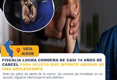 Nasca: cárcel contra sujeto que intentó violar a menor de 16 años que estaba sola en su casa