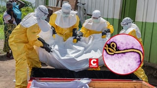 OMS eleva a ‘muy alto’ el riesgo por brote de ébola Bundibugyo en el Congo y advierte rápida propagación