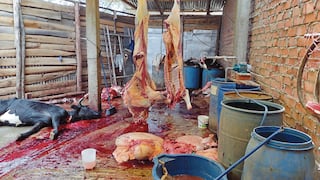 Incautan más de 500 kilos de carne contaminada que iban a ser vendidos con certificado falso, en Huancayo