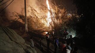 Chaclacayo: Incendio forestal afecta la zona de Alto Huampaní y buscan evitar que llegue al Colegio de Alto Rendimiento