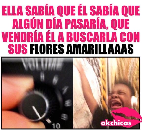 Flores amarillas y los memes más locos en la Internet. (Foto: Google)
