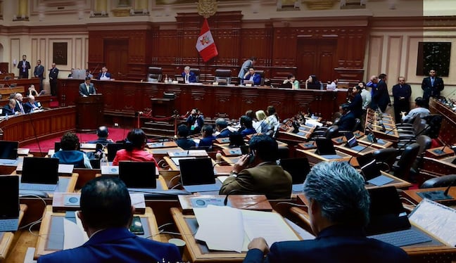 Al cierre de la legislatura Congreso aprobó el Proyecto de Ley 10791. (Foto: Difusión)