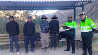 Arequipa: Rescatan a dos turistas alemanes tras extraviarse camino al Oasis de Sangalle, en el Colca