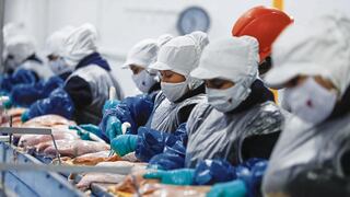 Informalidad laboral a un 63% y persiste inestabilidad en Arequipa