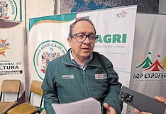 Arequipa: Más de 100 casos de brucelosis bovina en Majes