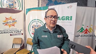 Arequipa: Más de 100 casos de brucelosis bovina en Majes