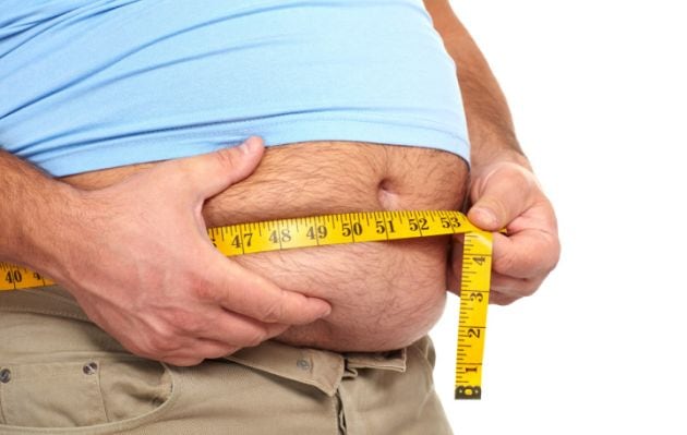 La grasa abdominal daña los órganos. (Shutterstock)