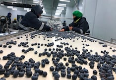 Economía de La Libertad creció 1.9%