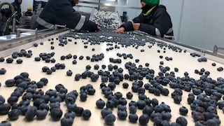 Economía de La Libertad creció 1.9%