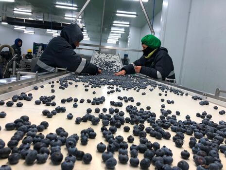 Economía de La Libertad creció 1.9%