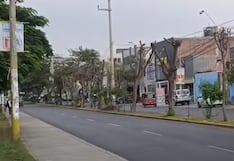 Ica: investigan presunta tala indiscriminada de huarangos en la avenida Ayabaca