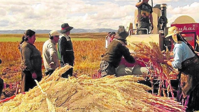 Exportación de alimentos crece más de 100% en la región Puno