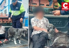 Fiel hasta el final: mascota no dejó a su dueño ebrio y serenos lo ayudaron en Huancayo