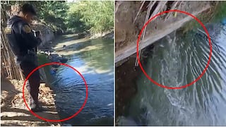 Ica: denuncian vertimiento de aguas residuales en el canal de riego La Achirana