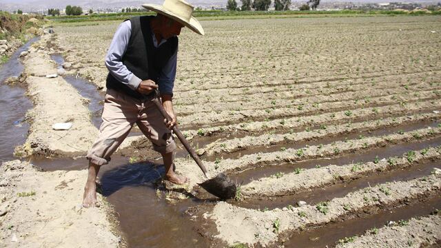 Fenómeno El Niño: Usuarios de El Pedregal y Mejía en Arequipa son los que más sufrirían ante una posible sequía