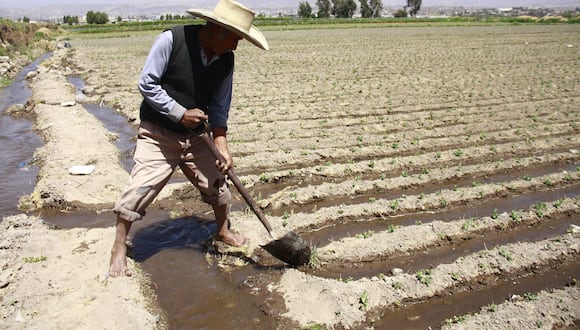 Como efecto del Fenómeno El Niño se teme sequía en Arequipa: (FOTO: GEC)