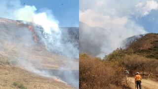 La Libertad: Incendio consume bosques y pastizales en Sayapullo