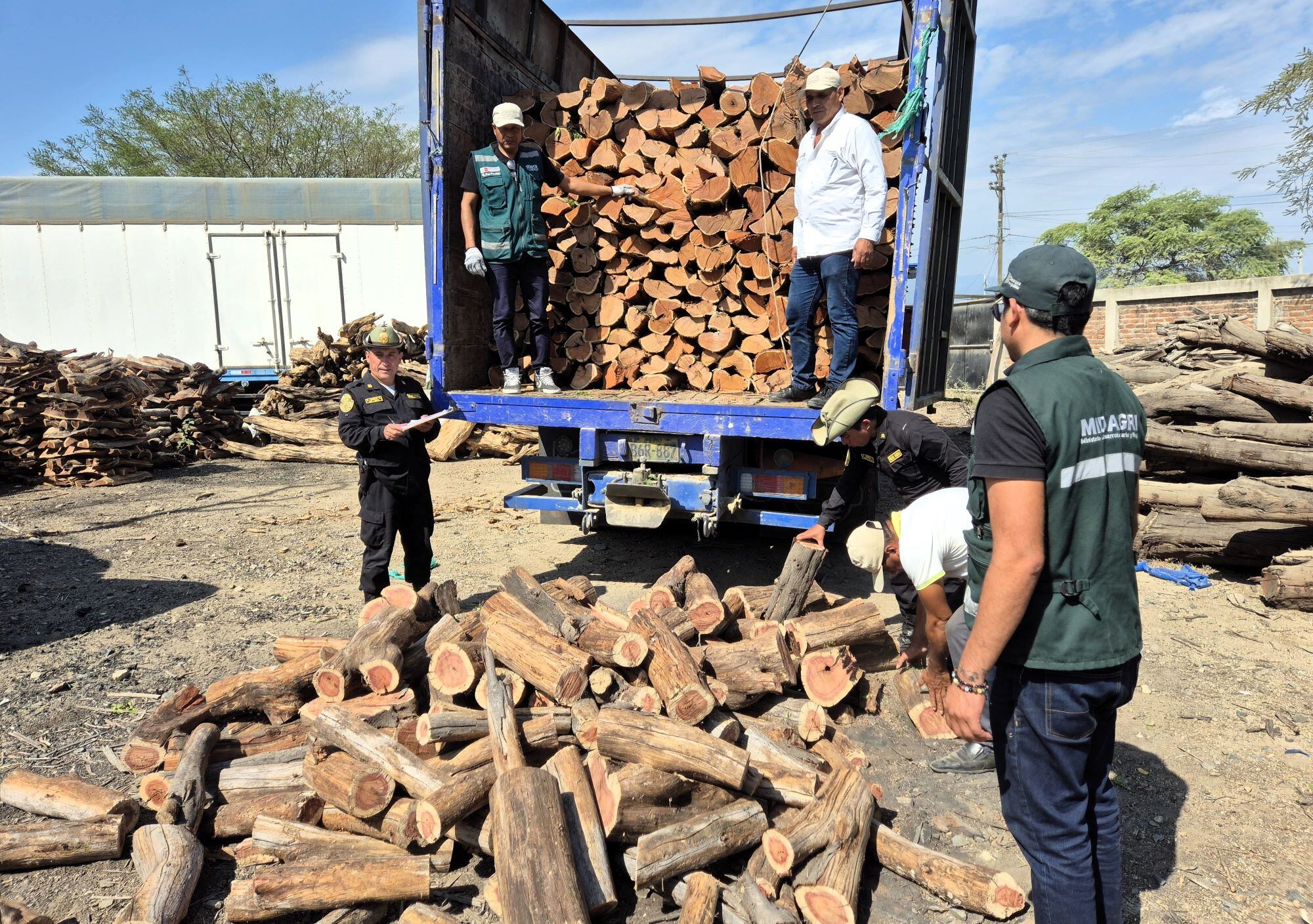 Decomisan leña de algarrobo de procedencia ilegal en Piura