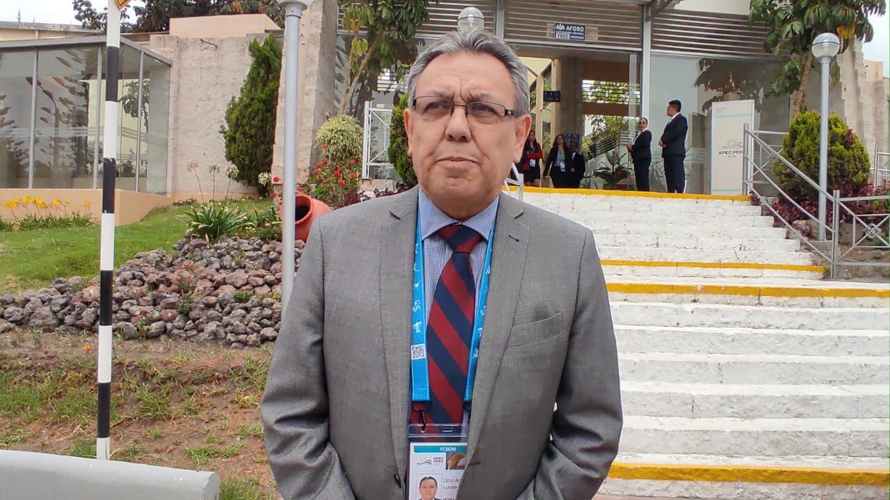 Gino Arciniega, coordinador ejecutivo de Apec. Foto: GEC