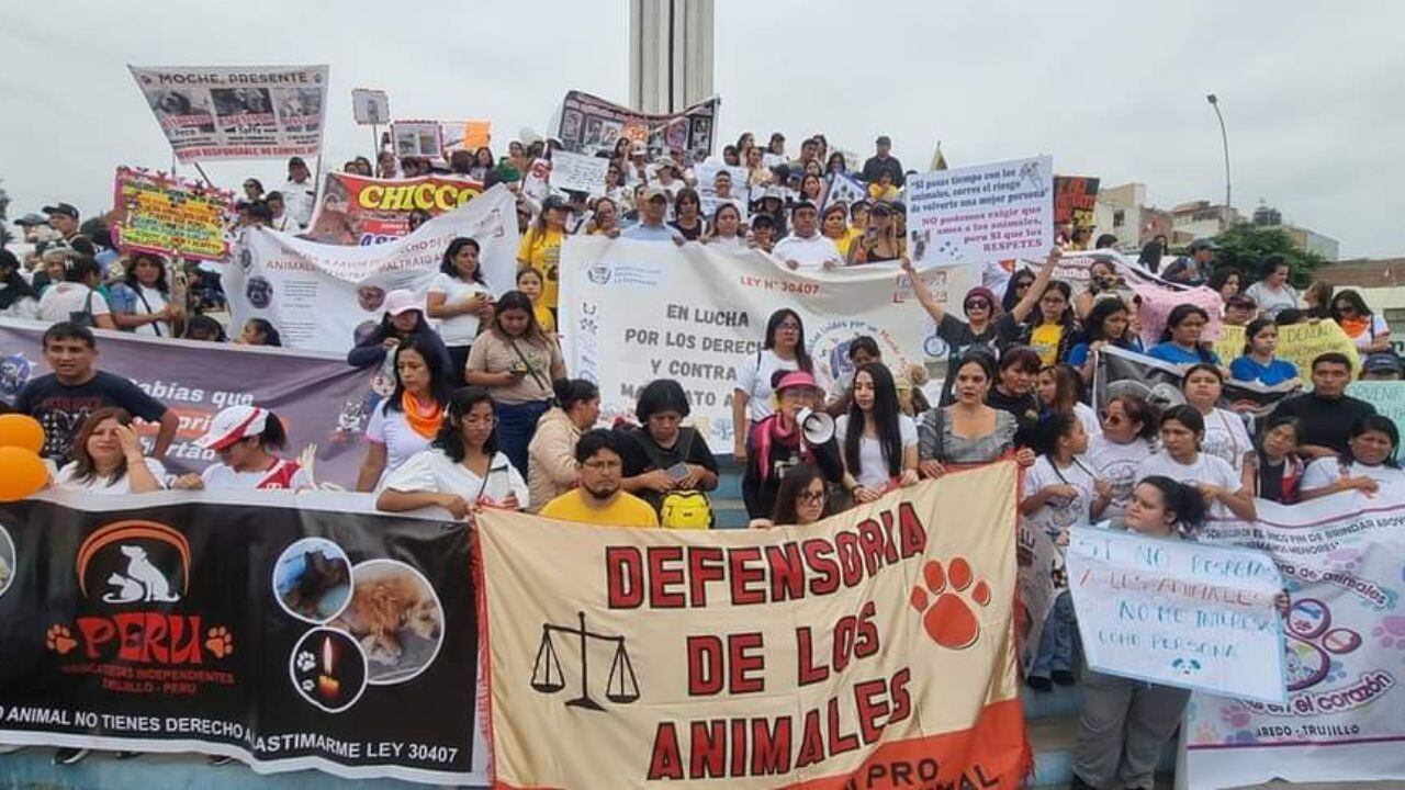 Organizaciones exigieron que se cumpla la Ley de protección y bienestar animal. El punto de partida fue la Plaza de Armas de Trujillo y llegaron hasta el Óvalo Papal.