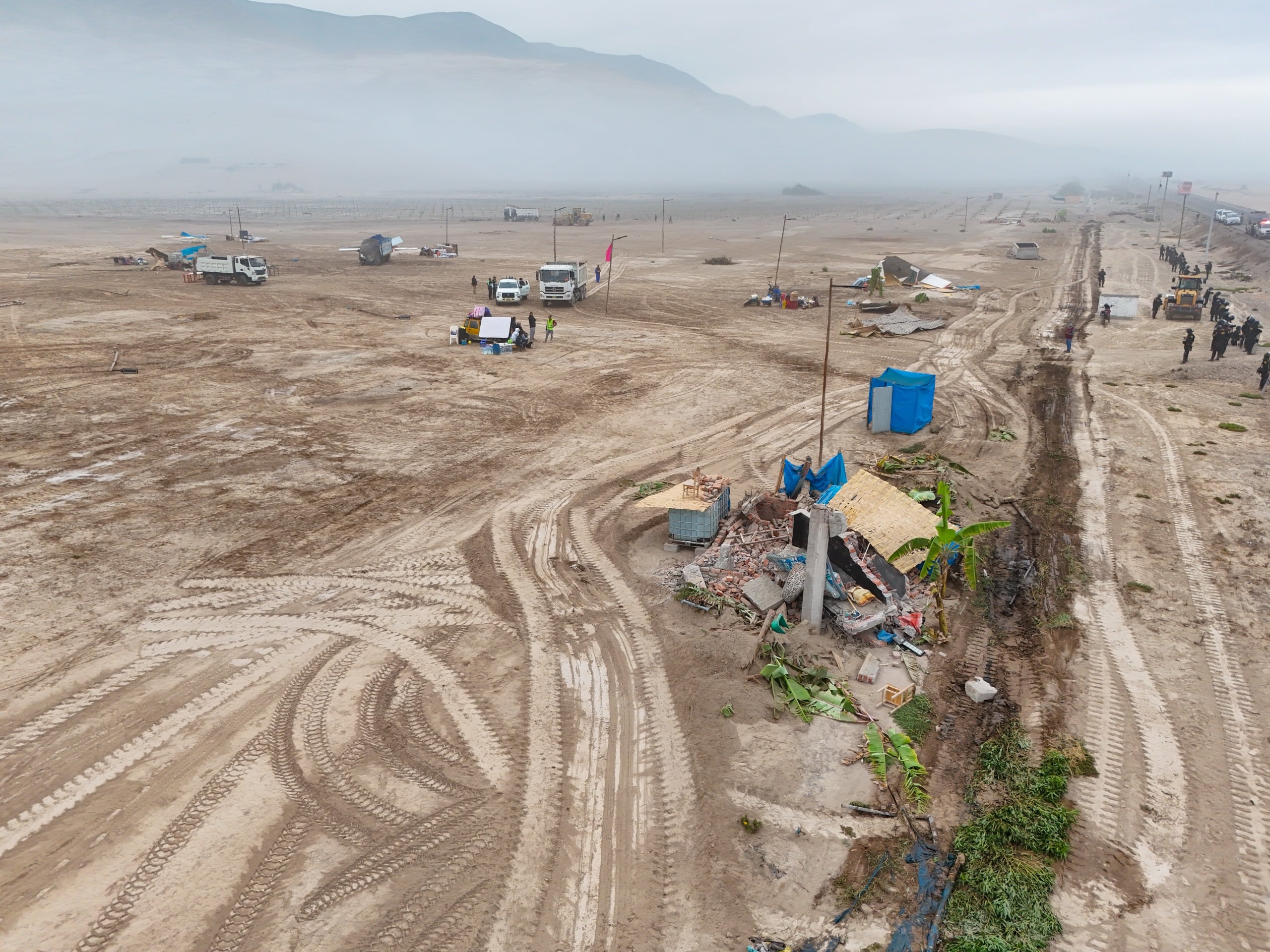 Las personas habían realizado plantaciones de vegetación, pese a que terrenos están destinados para el puerto Corío en Islay (Foto: GRA)