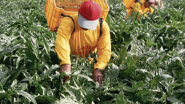 Propuesta del Gobierno de nueva Ley Agraria plantearía retorno de un IR de 15%