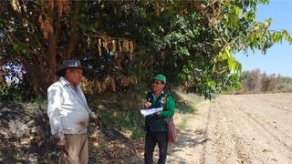 La región Ica lidera el desarrollo agrícola sostenible con la Encuesta de Intención de Siembra