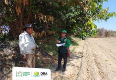 La región Ica lidera el desarrollo agrícola sostenible con la Encuesta de Intención de Siembra