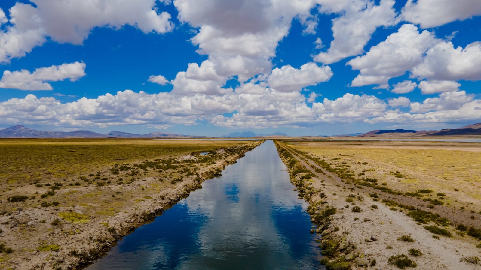 Conservación de la Reserva Nacional Salinas y Aguada Blanca garantizará el suministro de agua para toda la población de Arequipa.