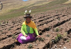 Heladas arrasan cultivos de papa en San Rafael y Ambo