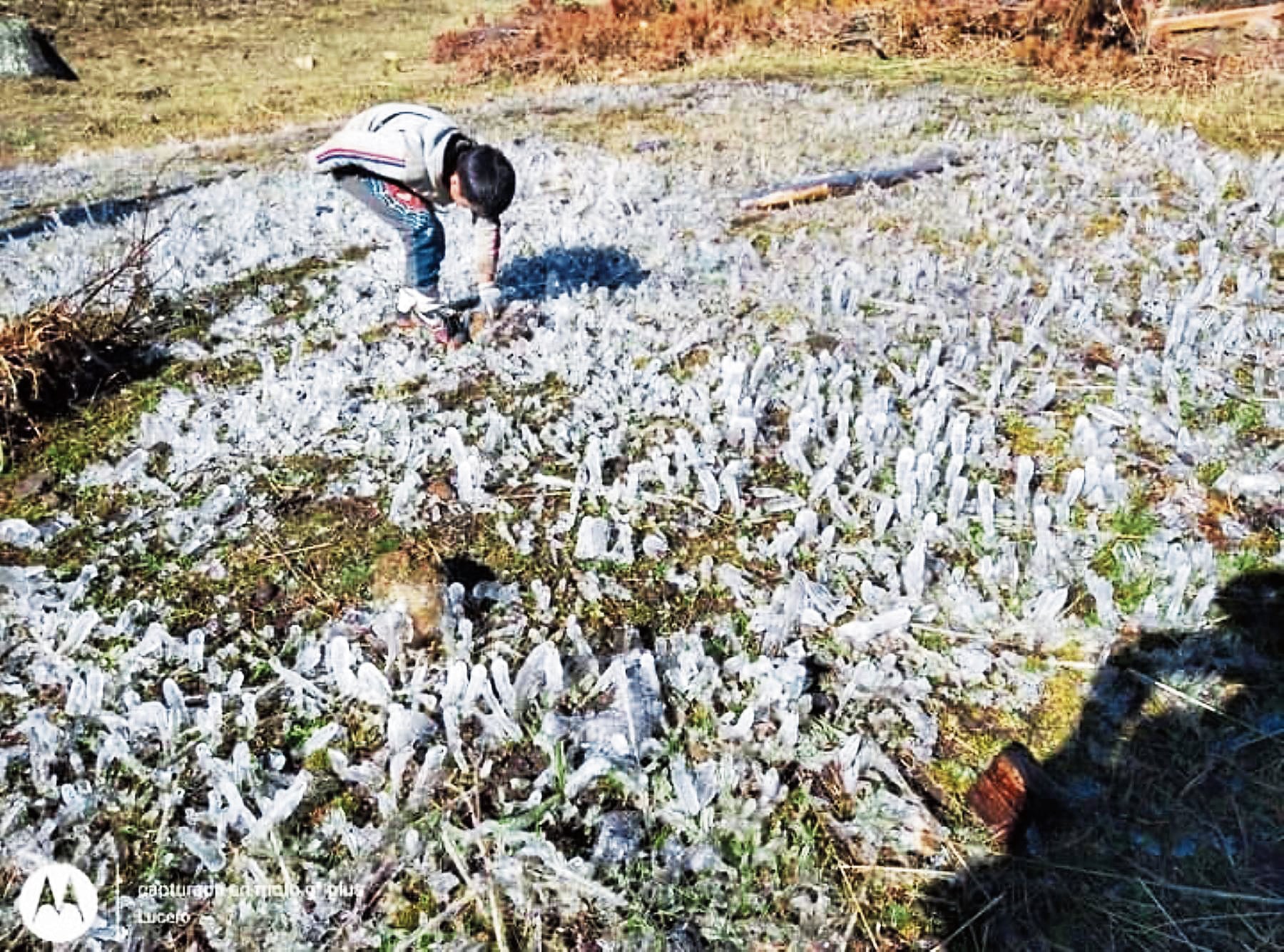 Helada afecta cultivos en zonas altas de Arequipa. Foto: difusión.