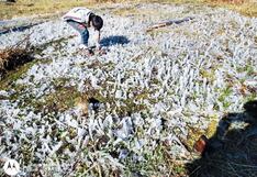Heladas en primavera afectan cultivos en zonas altas de la región de Arequipa