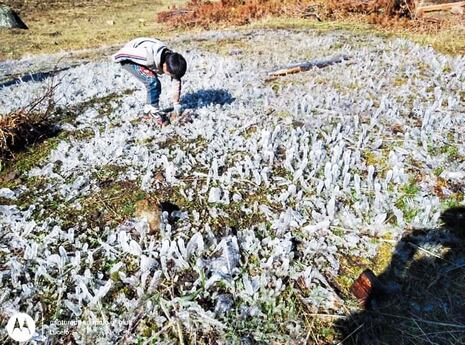 Heladas en primavera afectan cultivos en zonas altas de la región de Arequipa