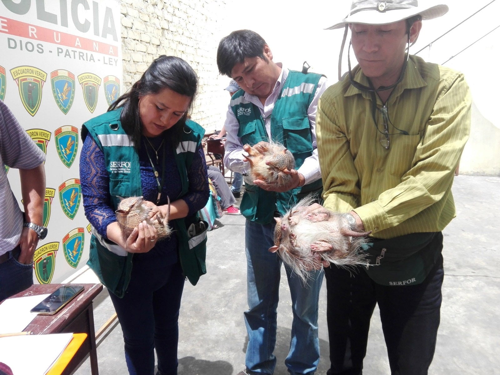 Quirquinchos son usados en rituales de Año Nuevo en Arequipa. Foto: Serfor.