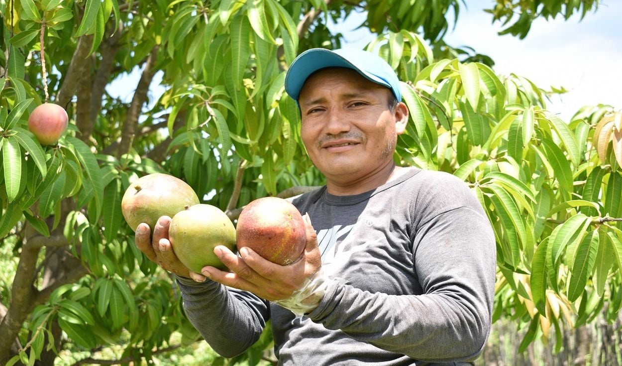Acciones para proteger el mango